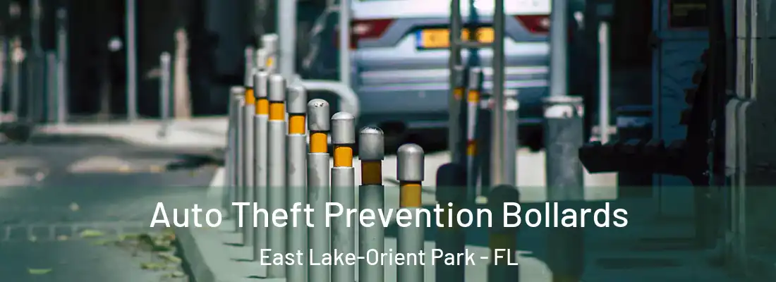  Auto Theft Prevention Bollards East Lake-Orient Park - FL