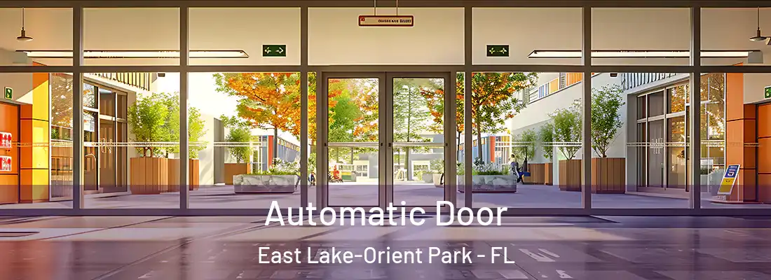  Automatic Door East Lake-Orient Park - FL