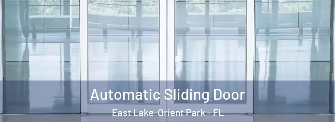 Automatic Sliding Door East Lake-Orient Park - FL
