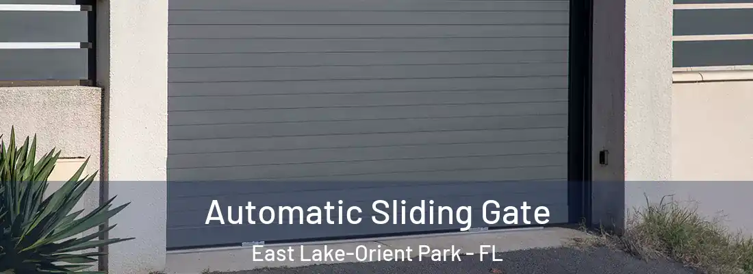  Automatic Sliding Gate East Lake-Orient Park - FL