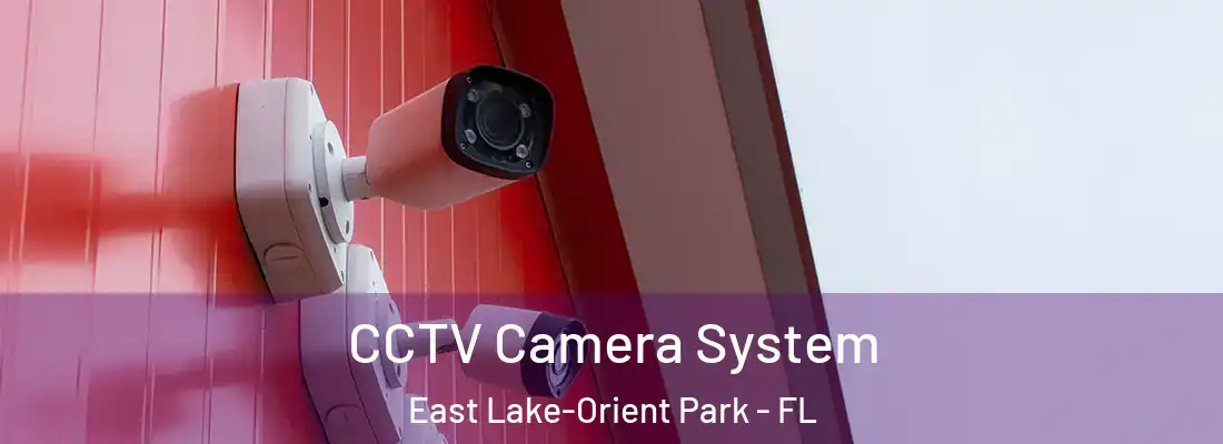  CCTV Camera System East Lake-Orient Park - FL
