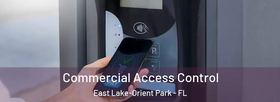  Commercial Access Control East Lake-Orient Park - FL