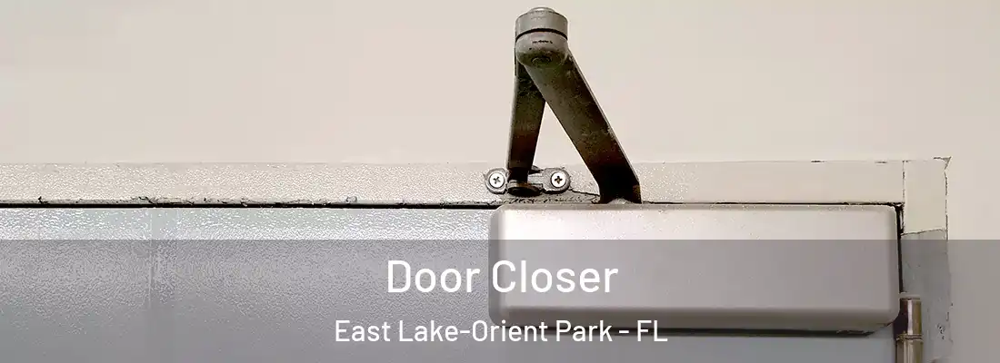  Door Closer East Lake-Orient Park - FL
