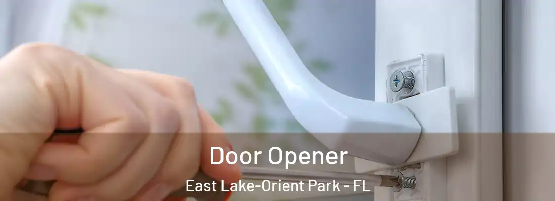  Door Opener East Lake-Orient Park - FL