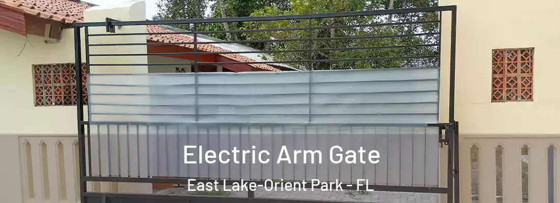  Electric Arm Gate East Lake-Orient Park - FL