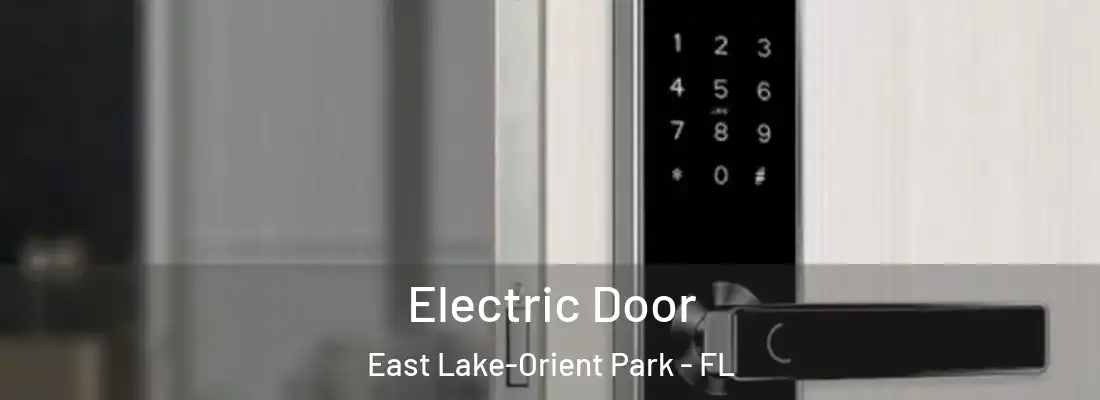  Electric Door East Lake-Orient Park - FL