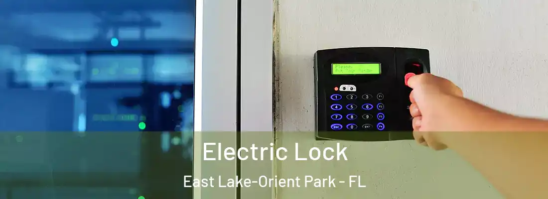  Electric Lock East Lake-Orient Park - FL