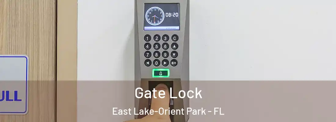  Gate Lock East Lake-Orient Park - FL