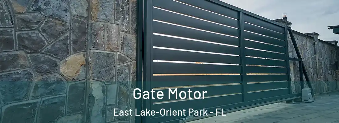  Gate Motor East Lake-Orient Park - FL