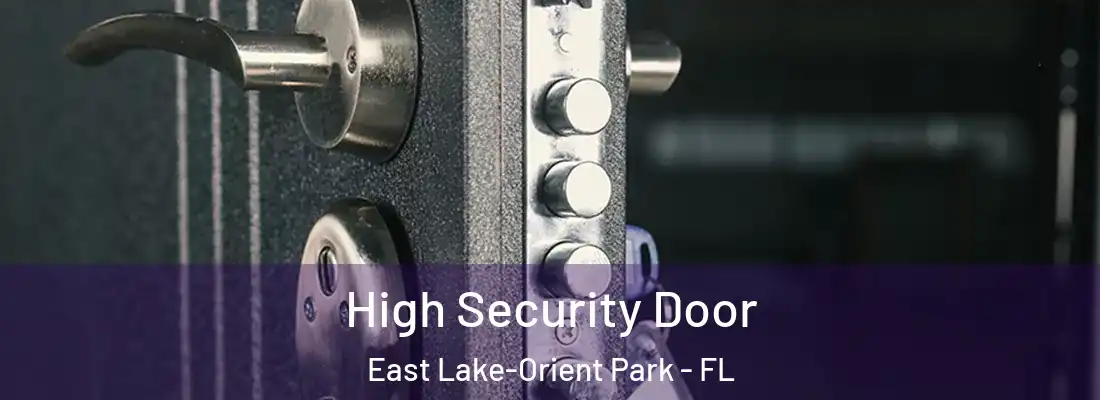  High Security Door East Lake-Orient Park - FL