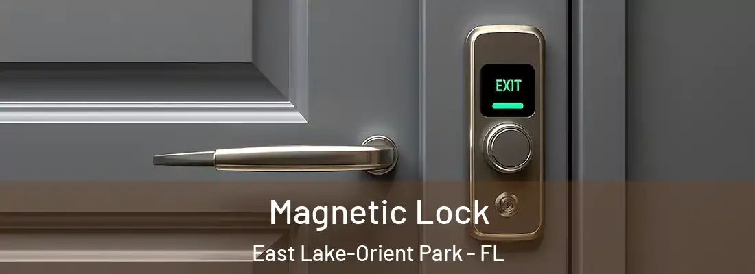  Magnetic Lock East Lake-Orient Park - FL
