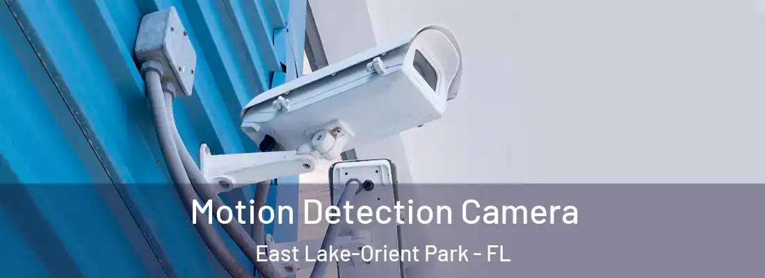  Motion Detection Camera East Lake-Orient Park - FL