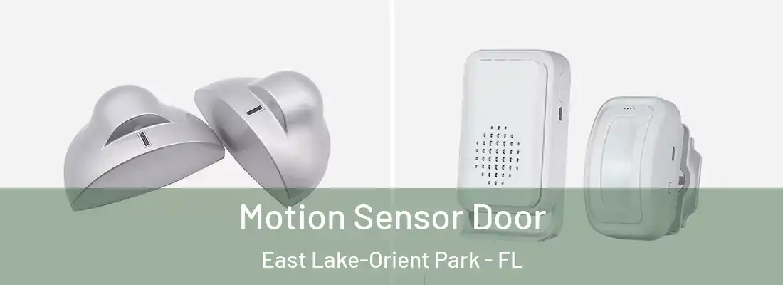 Motion Sensor Door East Lake-Orient Park - FL