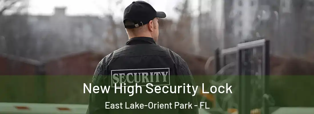 New High Security Lock East Lake-Orient Park - FL