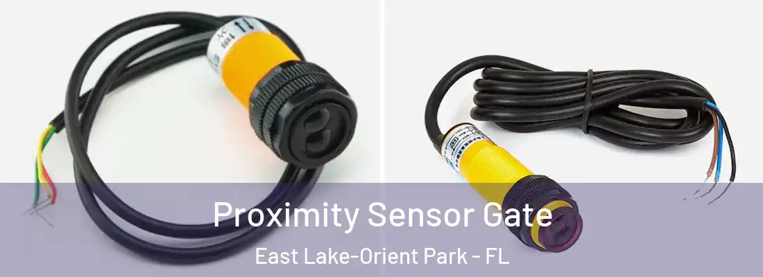  Proximity Sensor Gate East Lake-Orient Park - FL