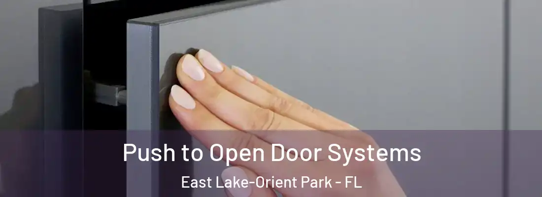  Push to Open Door Systems East Lake-Orient Park - FL