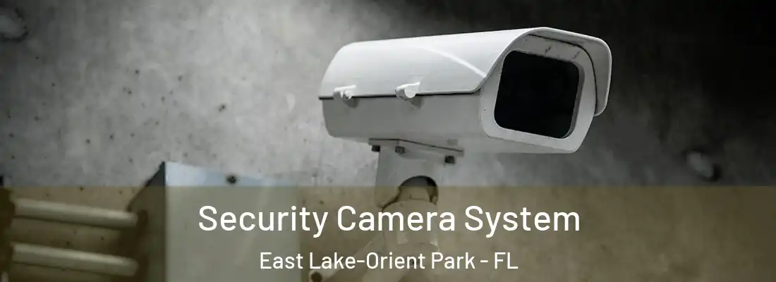  Security Camera System East Lake-Orient Park - FL