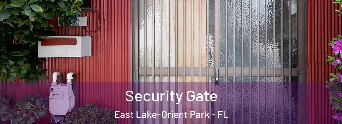 Security Gate East Lake-Orient Park - FL