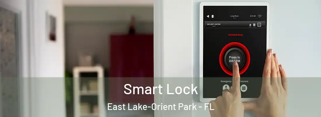  Smart Lock East Lake-Orient Park - FL
