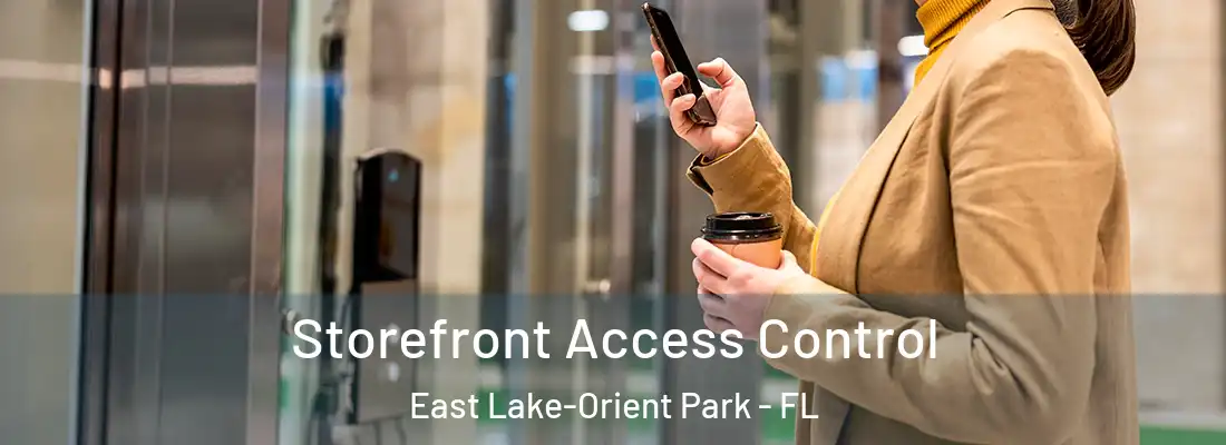  Storefront Access Control East Lake-Orient Park - FL