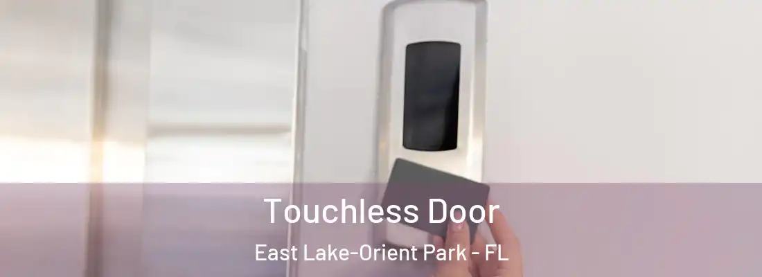  Touchless Door East Lake-Orient Park - FL