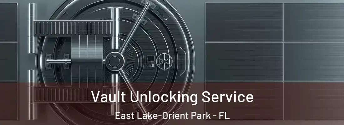  Vault Unlocking Service East Lake-Orient Park - FL