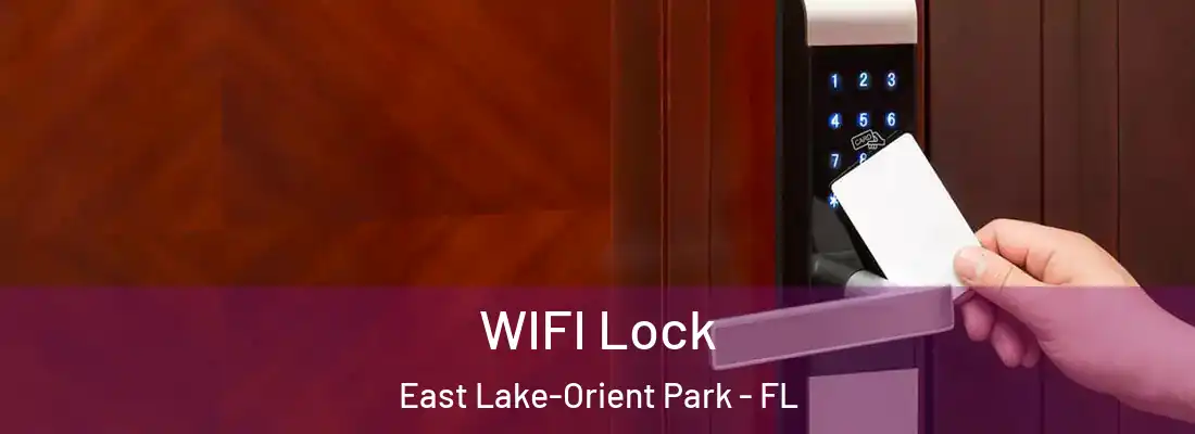 WIFI Lock East Lake-Orient Park - FL