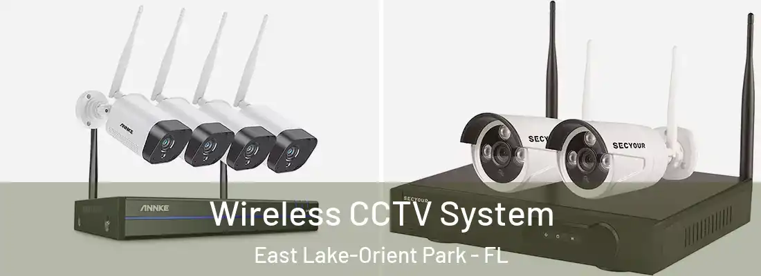 Wireless CCTV System East Lake-Orient Park - FL